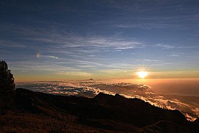 《堕落之主》发行商：DEI是骗局 导致工作室裁员或倒闭